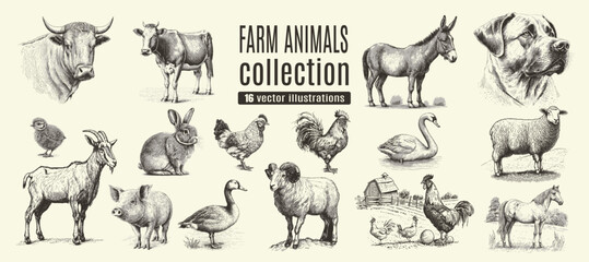 Rural meadow or countryside farm set. A village landscape with cows, goats and lamb, hills and a farm.