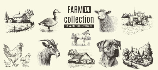 Farm animals, cows, rural houses. Hand drawn set.