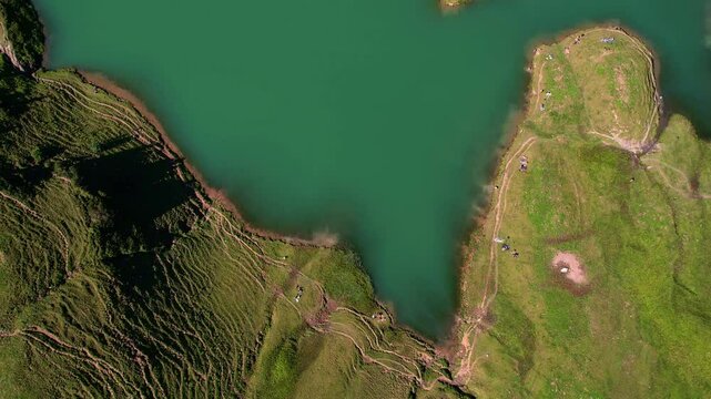 4K Aerial Drone video of the most beautiful mountain lake Schrecksee in Bavarian Alps with the cows feeding on lush green grass on a sunny day with blue skies and rocky hill tops surrounding