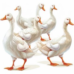 Obraz premium Geese ementalist Occupation fantasy animal cartoon isolated whitebackground
