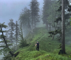 Wanderer im dichten Nebel im Bergwald am Rechenberg, Alpen, Chiemgau, Bayern, Deutschland