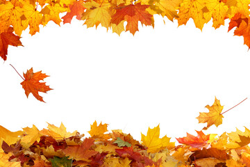 Beautiful yellow,red,orange foliage. Natural background. Border frame of colorful  leaves. Vibrant...