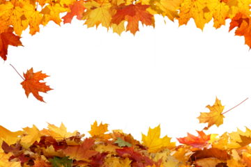 Beautiful yellow,red,orange foliage. Natural background. Border frame of colorful  leaves. Vibrant fall colors.Autumn falling leaves cutouts