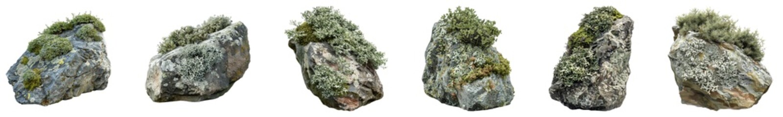 Overgrown lichen on rock isolated on transparent background, set of