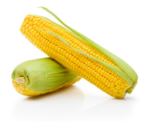 Two ear of corn isolated on white background