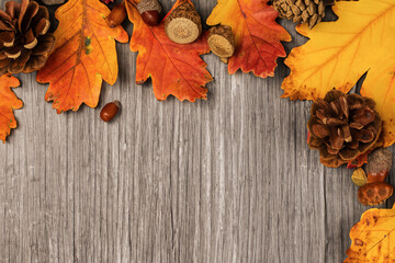 Fall Autumn Flat Lay with Leaves Framing Wood Table Background