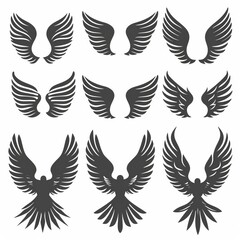 Fototapeta premium Wings flat icon, angel wings emblem, bird feathers minimal silhouette, pigeon sign, spirituality symbol