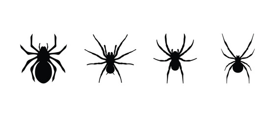 Set of spiders silhouette from biggest to smaller. Tarantula, black widow spiders vector icon.