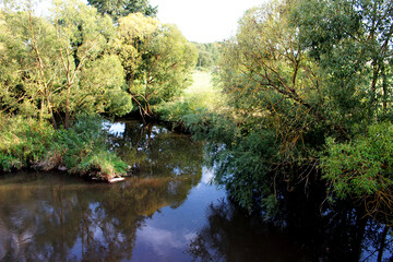 An image of a small river overgrown with trees.