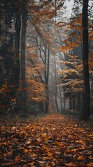 Obraz premium autumn forest.