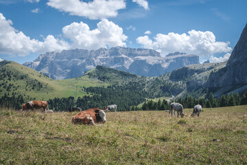 Naklejka premium spectacular view of the Dolomites in Val Gardena