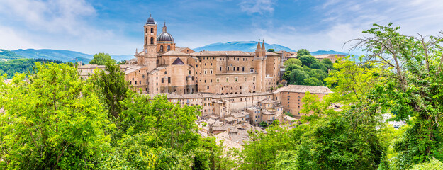 A panorama  view past trees towards the center of the city in Urbino, Italy in summertime