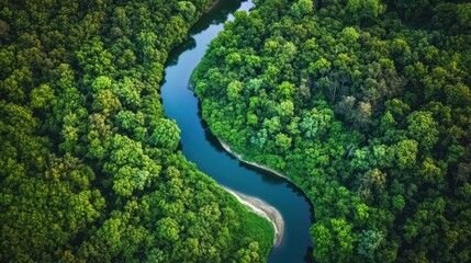 Aerial view of serene river bend surrounded by lush forest
