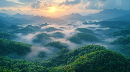 Obraz premium Misty morning sunrise over rolling green hills.