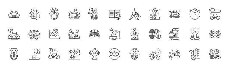 Leadership, Timer and Bicycle line icons. Pack of Cardio bike, Laureate, Electric bike icon. Ole chant, Winner ribbon, Best rank pictogram. Victory, Honor, Arena stadium. Maggots. Line icons. Vector