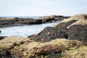 Coast of La Turballe in Brittany - France