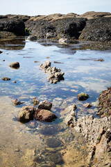 Coast of La Turballe in Brittany - France