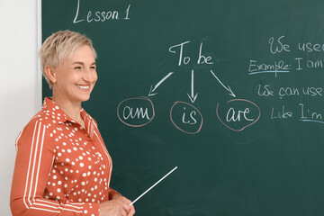 Female English teacher conducting grammar lesson in classroom