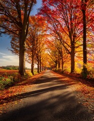 Obraz premium 美しい秋の紅葉した風景