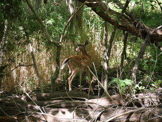 Sunny Day at Ernie Miller Nature Center