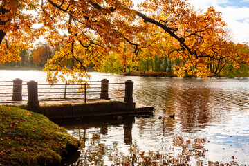 Autumn foliage in Catherine park, Pushkin (Tsarskoe Selo), Saint Petersburg, Russia