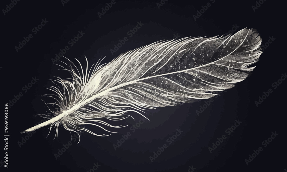 Poster a linear vector of a detailed feather.