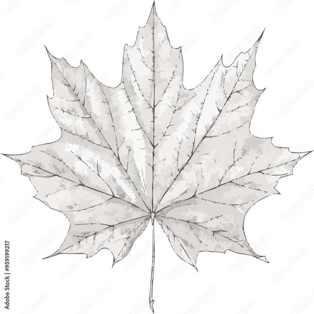 Poster a linear vector of a maple leaf.