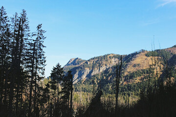 G&oacute;rskie klimaty