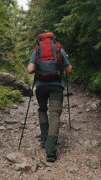Back view wide angle following shot man backpacker hiker traveler going up rocky trail, red backpack, young man use trekking poles walks in mountain forest. Pine trees, hiking in woodland, cloudy day
