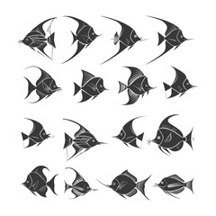 A Collection of Black and White Angelfish Illustrations