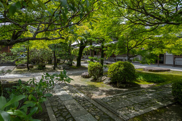 Fototapeta premium a serene Japanese garden with a traditional temple building in the background. Lush green trees and shrubs create a canopy of shade, a stone path winds through. Asian and oriental landscaping.