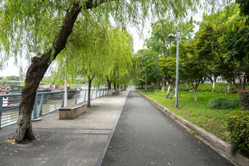 Obraz premium Background texture of a scenic walkway along a riverbank, lined with lush green trees,including weeping willows, providing shade. An urban park with a pedestrian footpath and cycling lane.Ningbo China