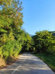 The Colours Of Nature, Stojcevac