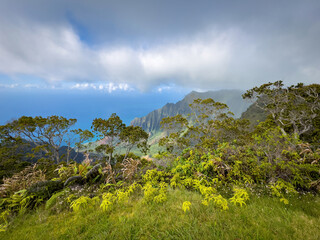 Kalalau Lookout with scenic view of beautiful Napali Coast at Koke'e State Park on the Hawaiian island of Kauai, USA