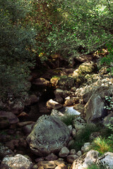 Cascata num parque natural, ecol&oacute;gico 