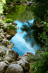 Paisagem com Rio, rochedos e plantas verdes