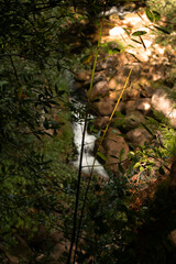 Cascata num parque natural, ecol&oacute;gico 