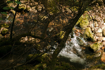 Cascata num parque natural, ecológico 
