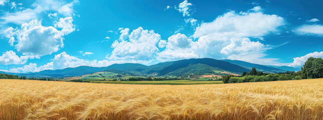 Golden Hour over Golden Fields: A panoramic vista of sun-drenched wheat fields, rolling hills, and...