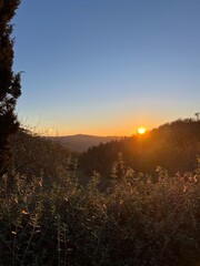 Obraz premium Tuscany winery at sunset