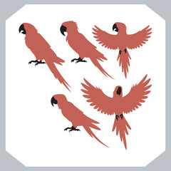 Parrot silhouette vector art illustration, bird parrot logo tropical bird logo icon