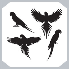 Parrot silhouette vector art illustration, bird parrot logo tropical bird logo icon
