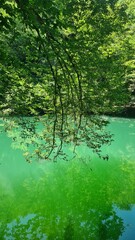 Le bassin de la résurgence de Saint-Sauveur (de l'Ouysse)