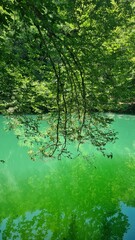 Le bassin de la résurgence de Saint-Sauveur (de l'Ouysse)