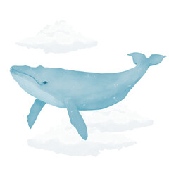 Fototapeta premium Blue whale flying in the sky with fluffy white clouds watercolor digital illustration for printing and web