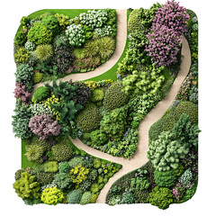 Lush garden top view winding paths vibrant green foliage colorful flowers landscaping aerial illustration garden design