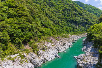 日本の風景・夏　徳島県三好市　大歩危峡