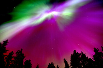 Spectacular Green and Pink Aurora Borealis Display of Northern Lights