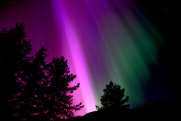 Northern Lights Aurora Borealis Pink and Green