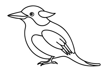 Line Drawing of a Kookaburra | Detailed Vector Art Illustration